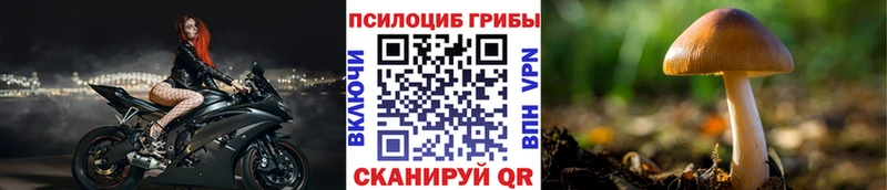 Галлюциногенные грибы прущие грибы  Петров Вал 